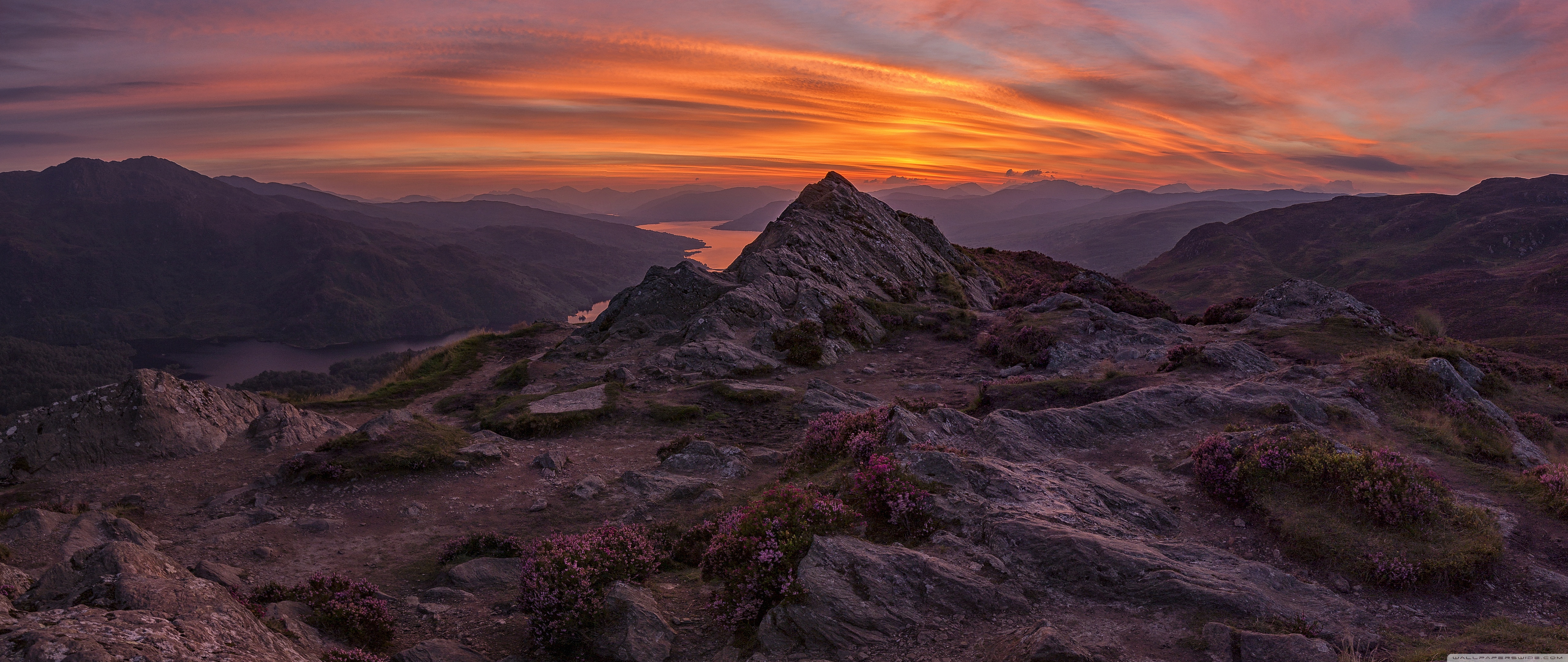 Aspect Ratio - HD Wallpaper 