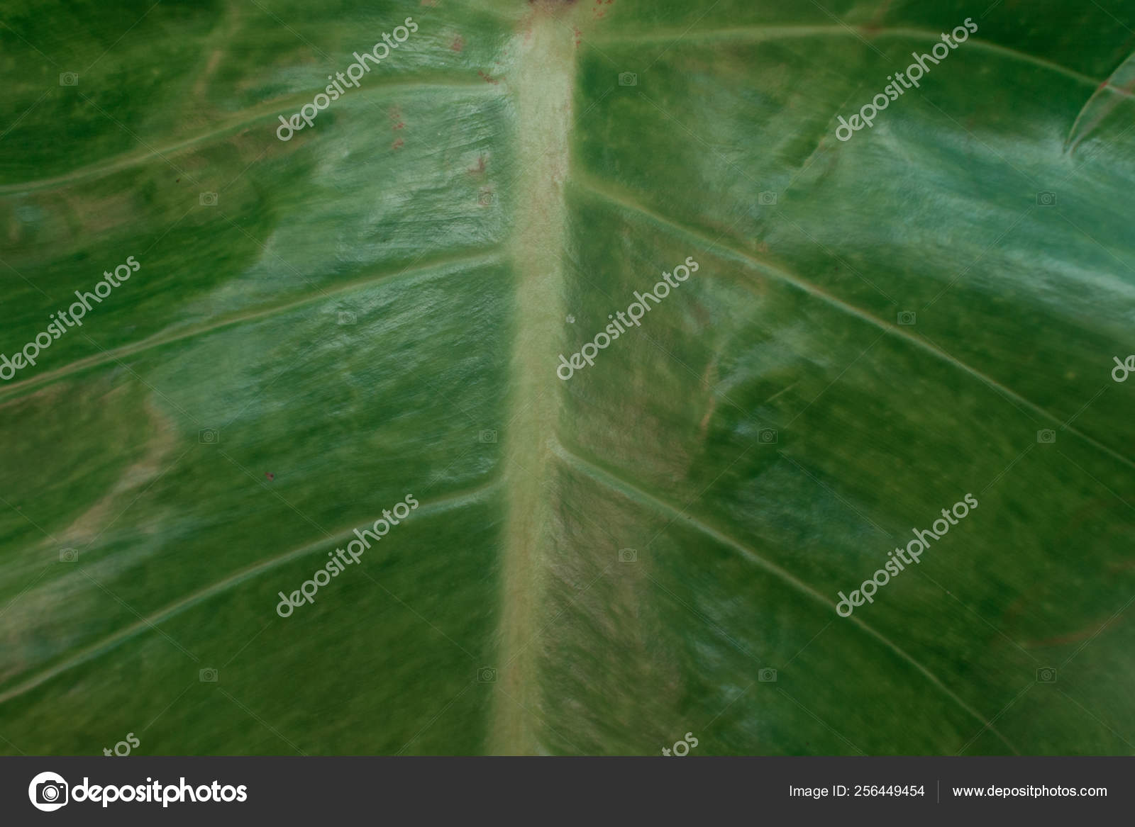 Screenshot - HD Wallpaper 