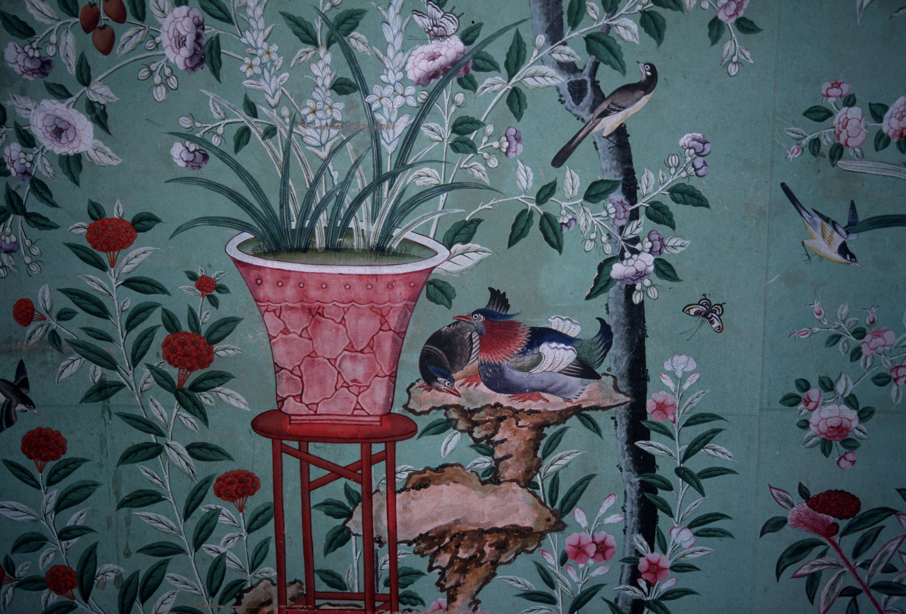 Flowerpot - HD Wallpaper 