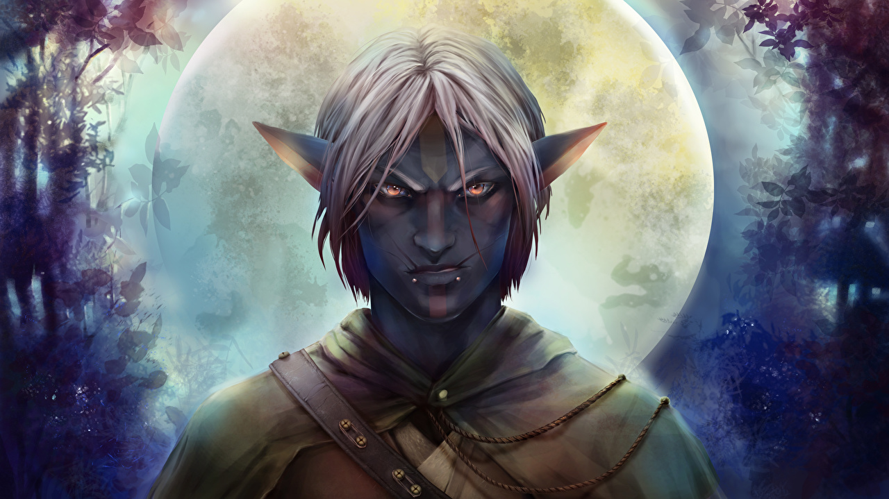 Male Elf - HD Wallpaper 