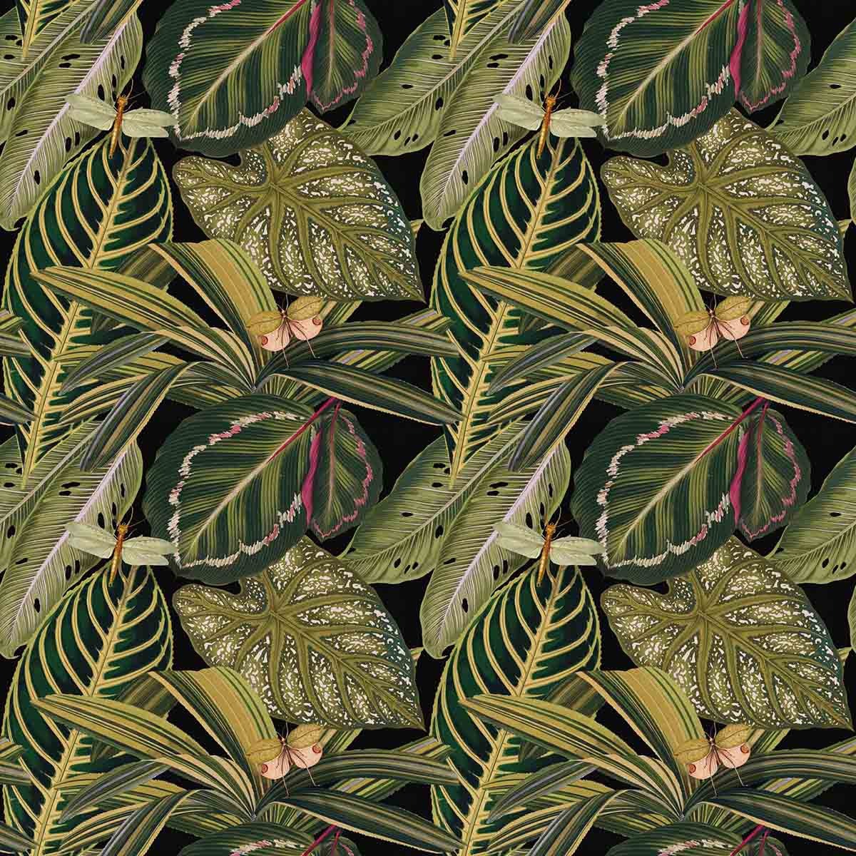 Amazonia Wallpaper Mindthegap Green/black Wp20159 Mindthegap - Mind The Gap Amazonia - HD Wallpaper 