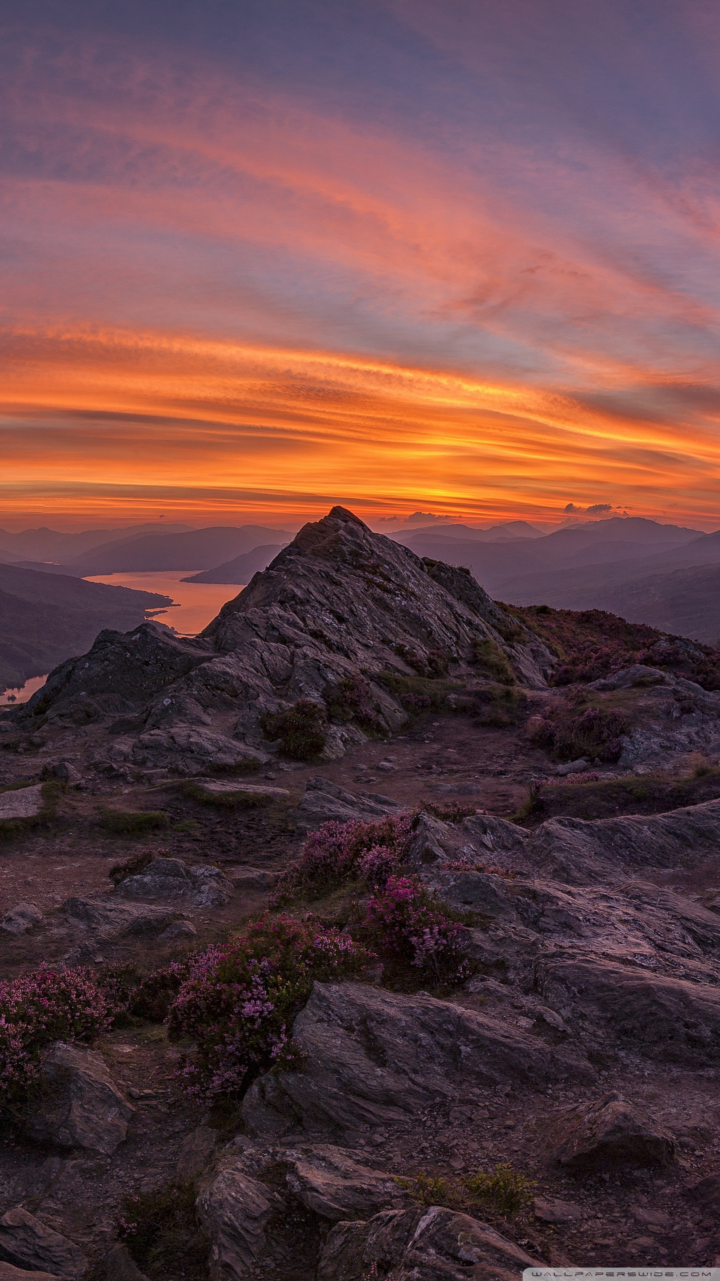 Mobile Phone - HD Wallpaper 