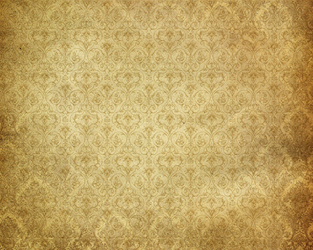 Tan - HD Wallpaper 