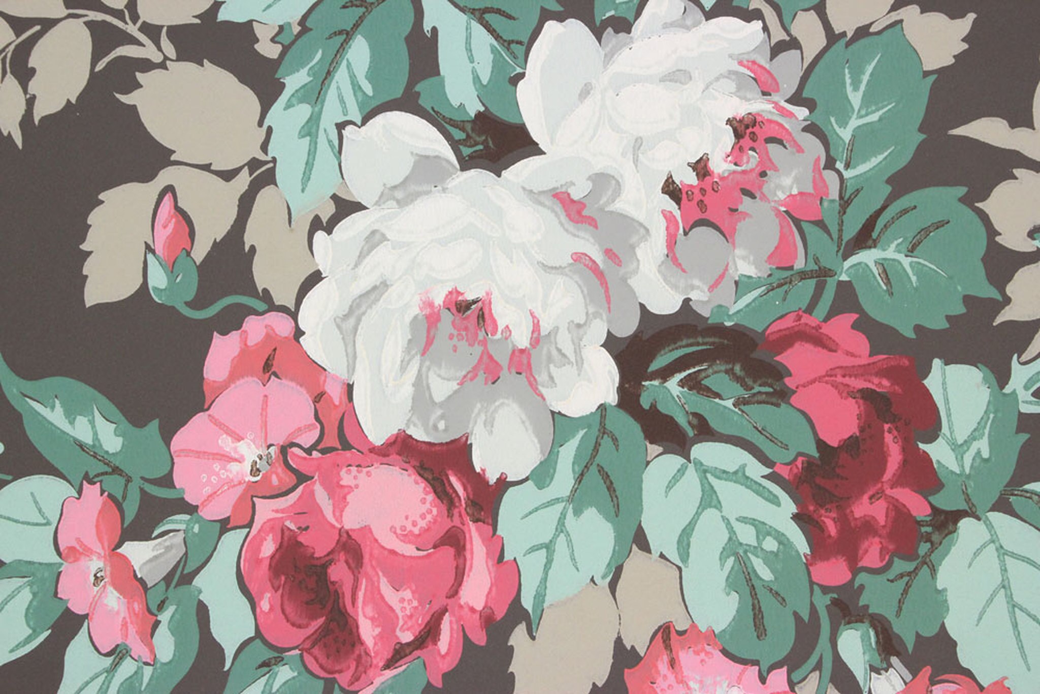 Cabbage Rose - HD Wallpaper 