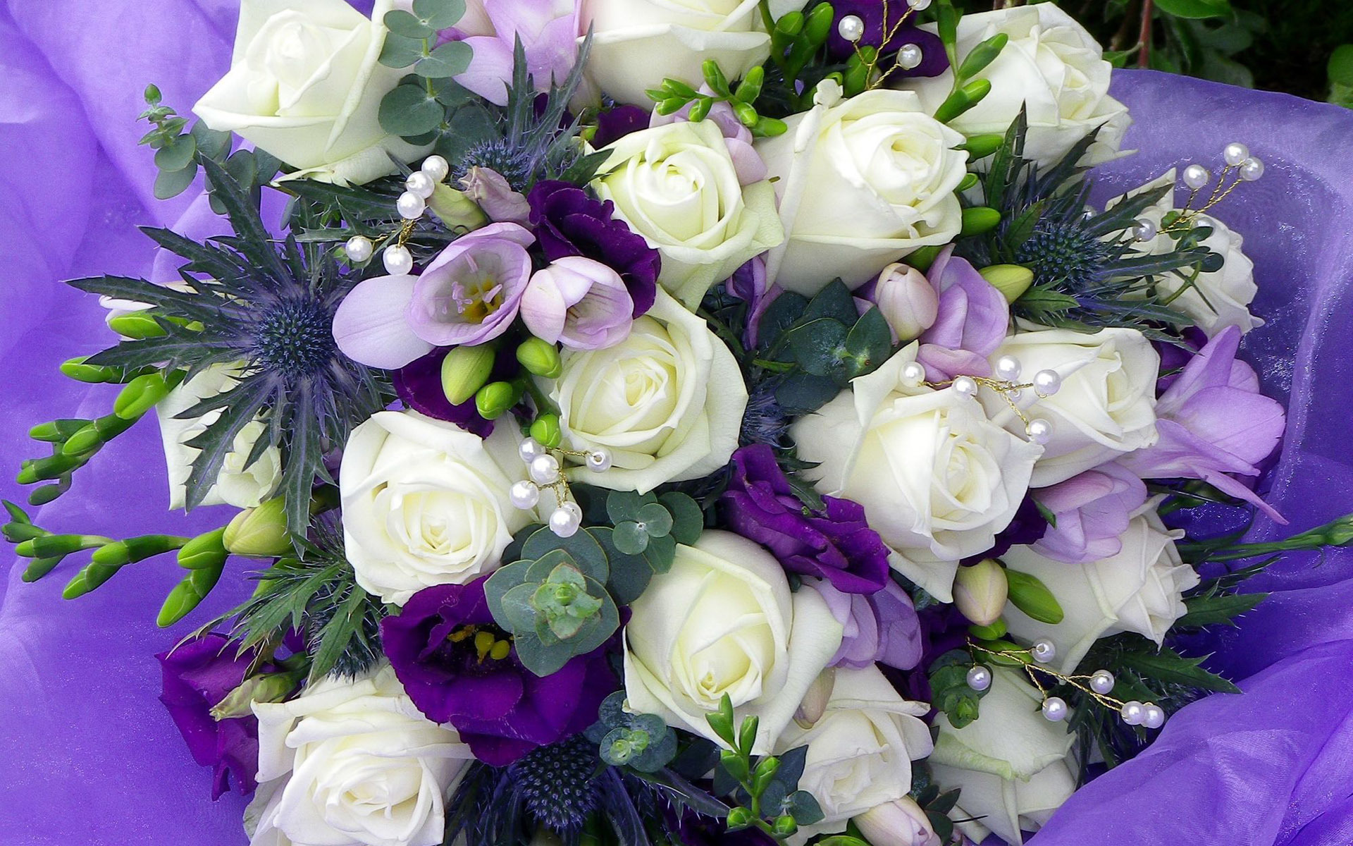 Hoa Hồng Đẹp Nhất Tặng Sinh Nhật - HD Wallpaper 