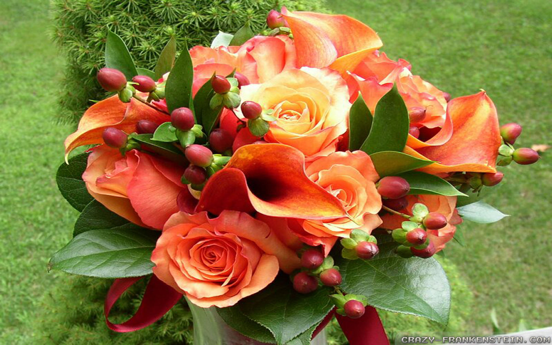 Flowers Bouquet - HD Wallpaper 