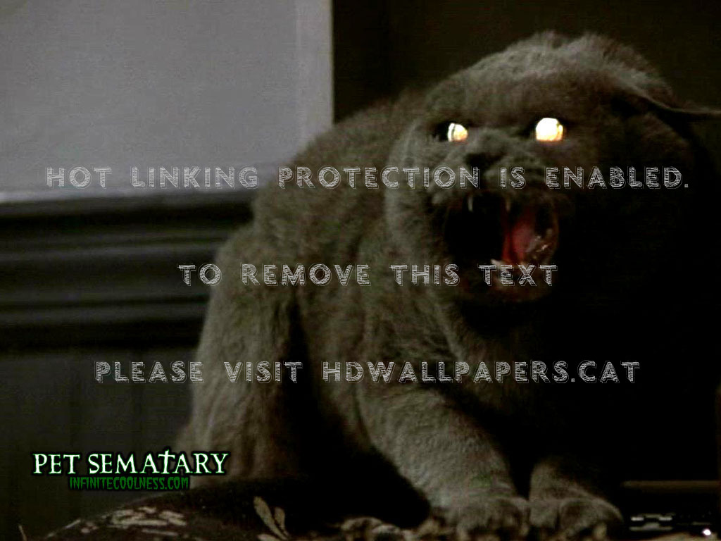 Pet Sematary Semetary Stephen King Movies - Pet Sematary Cat - HD Wallpaper 