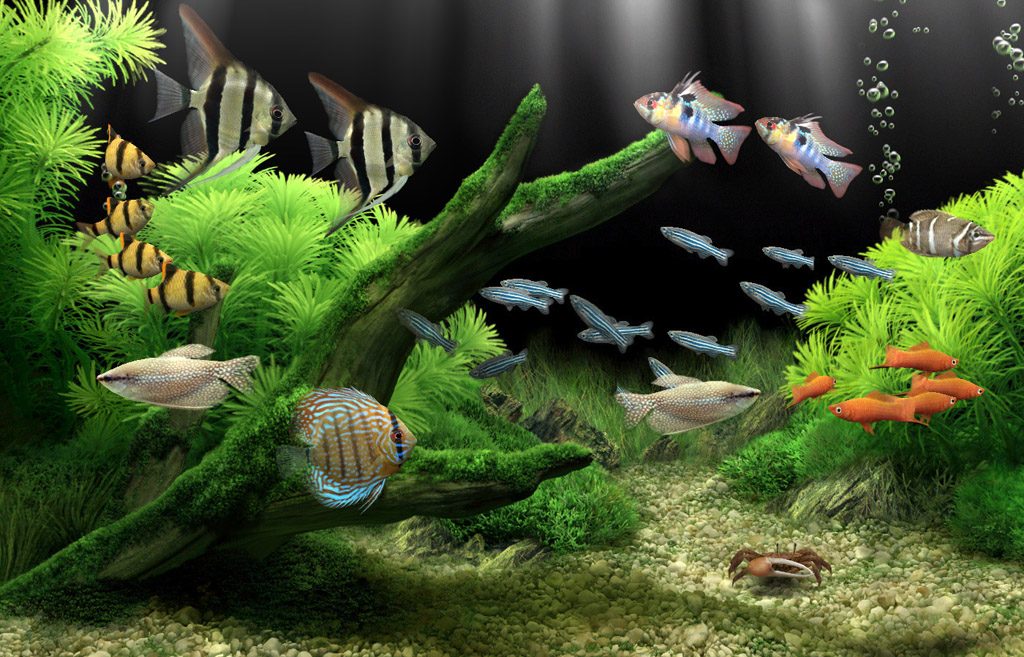 Dream Aquarium Screensaver - HD Wallpaper 