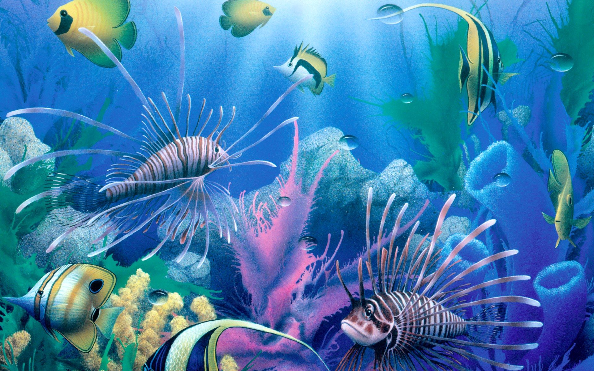Beautiful Fish Wallpaper - Deep Sea Images Hd - HD Wallpaper 