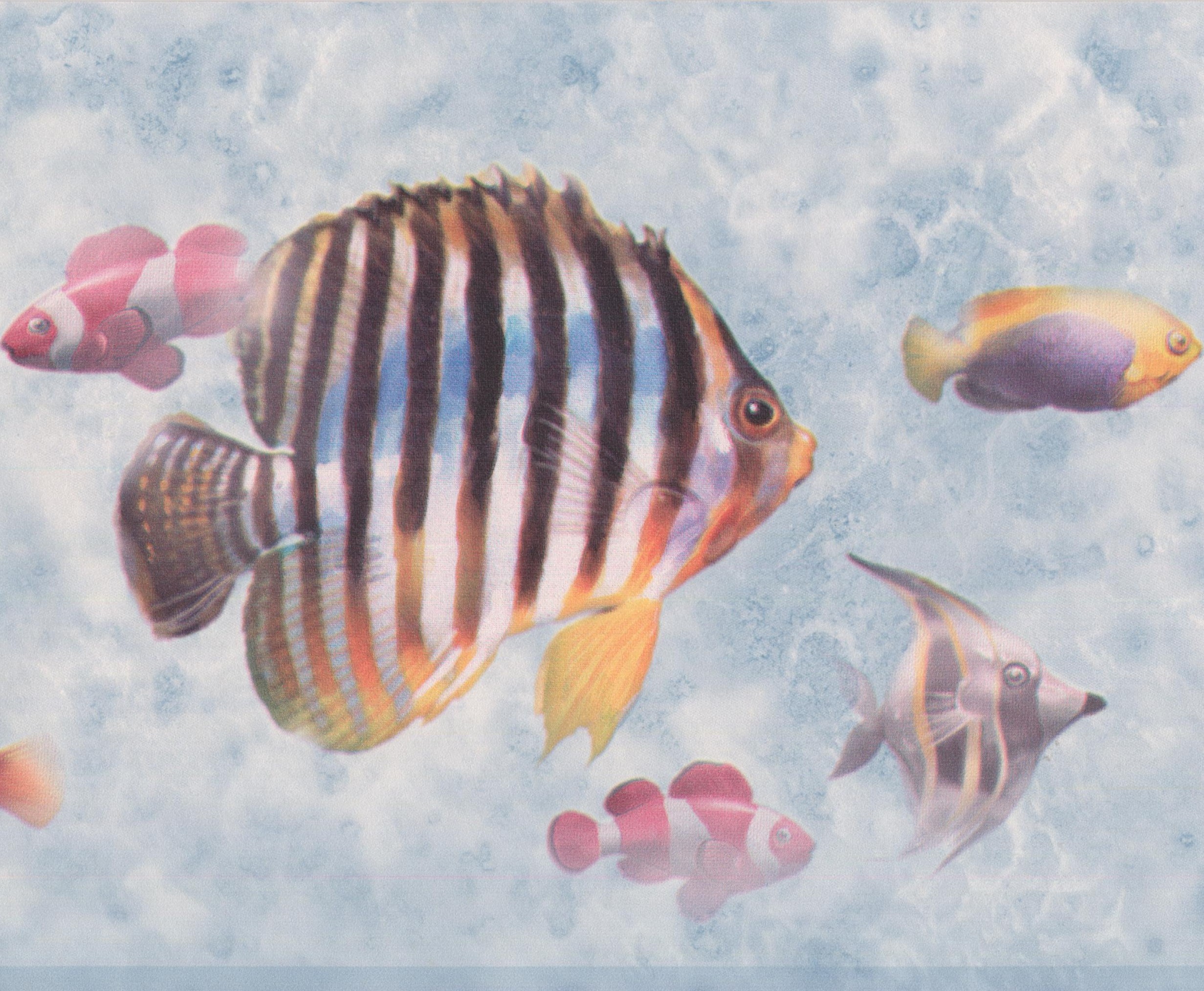 Coral Reef Fish - HD Wallpaper 