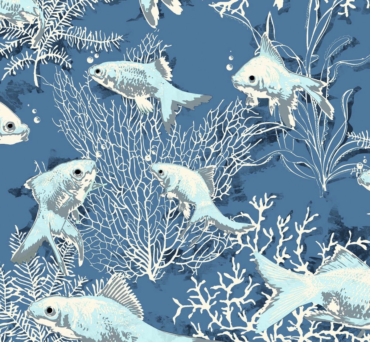 Marine Biology - 1200x1111 Wallpaper - teahub.io