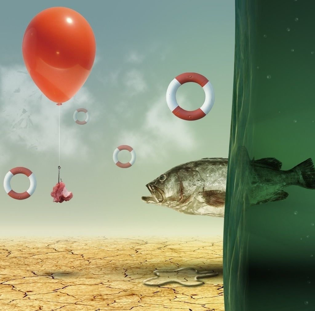 Half Water Half Land - HD Wallpaper 