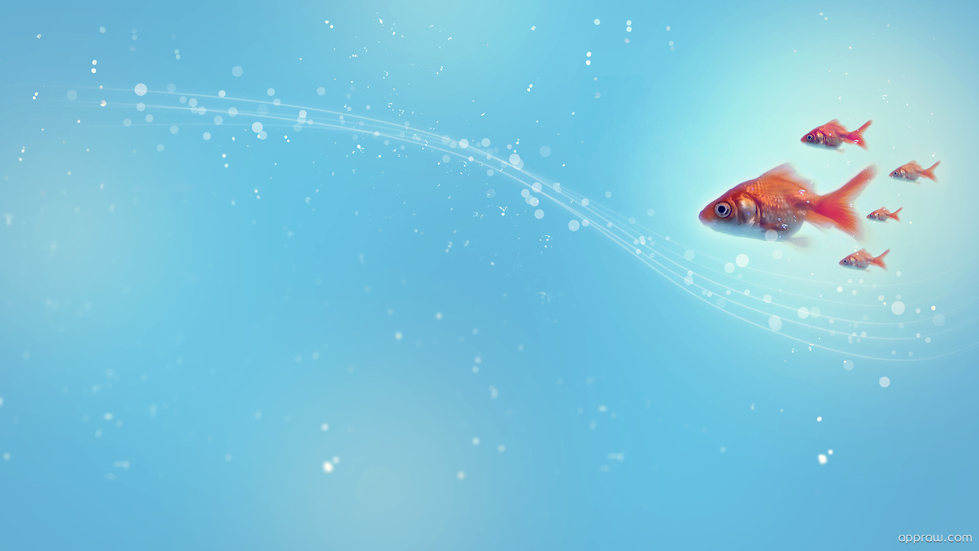 Background With Fish And Water - HD Wallpaper 