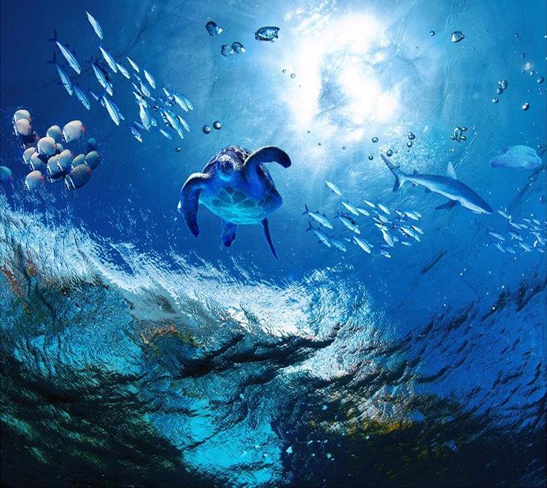 Underwater Wallpapers Ocean - HD Wallpaper 