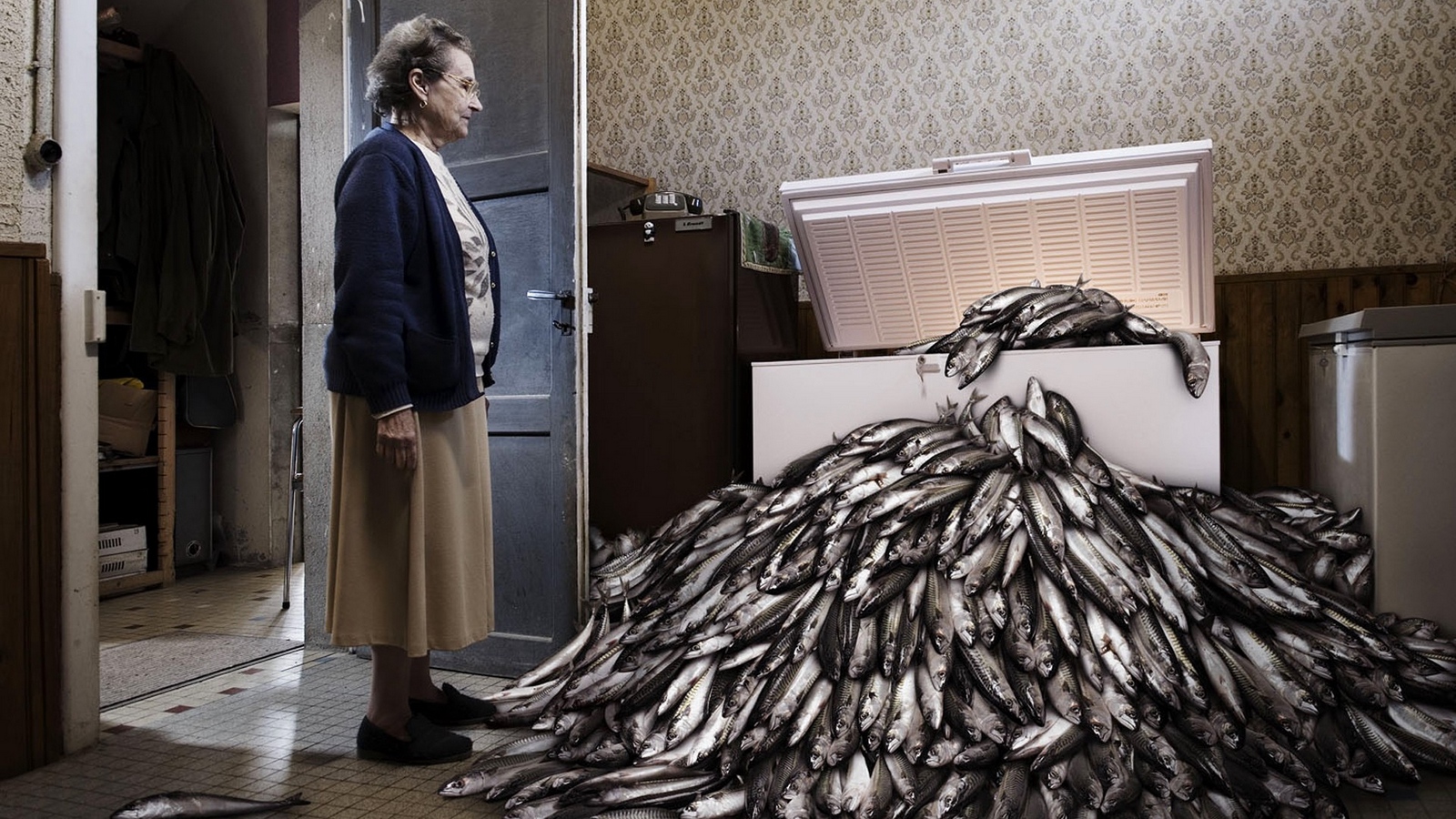Wallpaper Grandmother, Situation, Fish, Many, Funny, - Romain Laurent - HD Wallpaper 