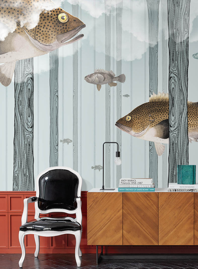 Contemporary Wallpapers - Eastern Wirra, Acanthistius Ocellatus - HD Wallpaper 