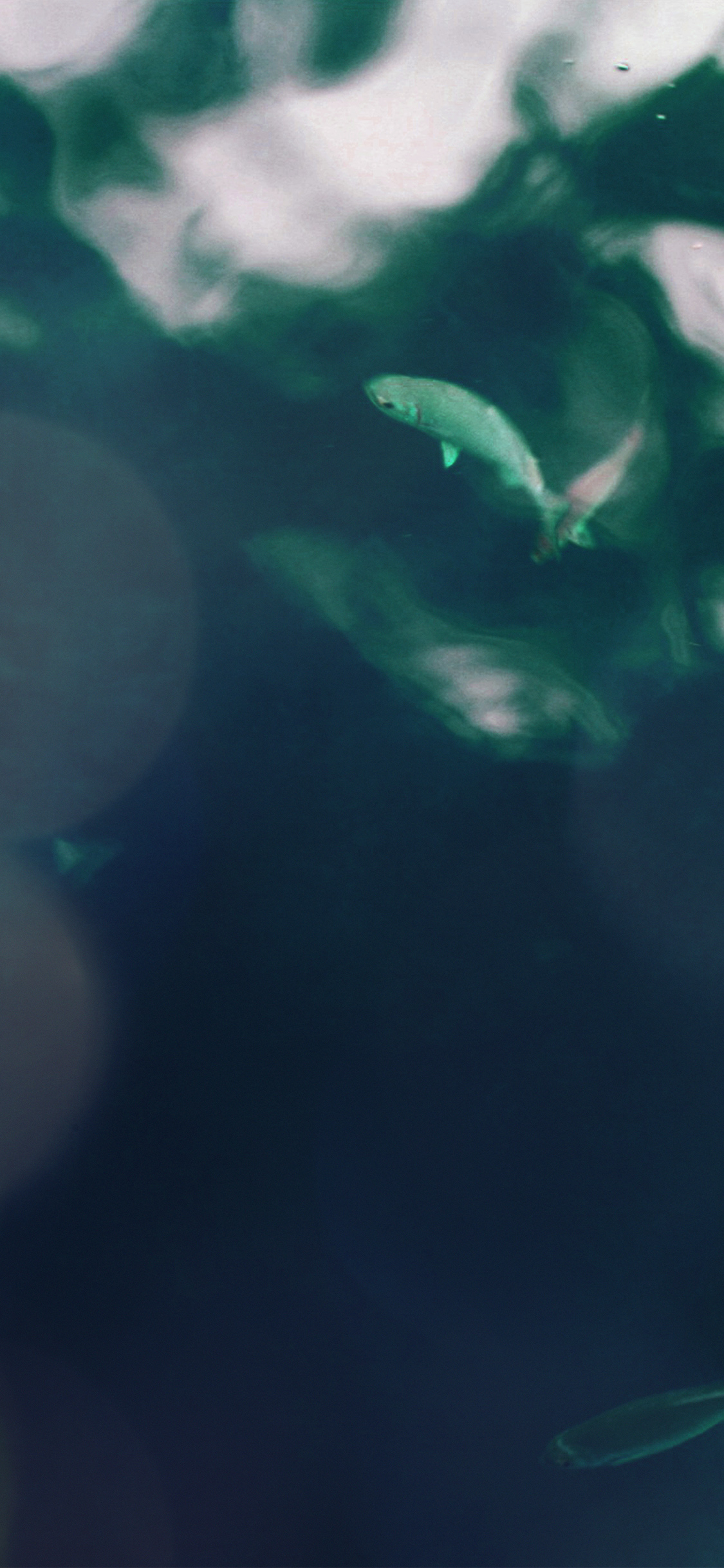 Com Apple Iphone Wallpaper Mo71 Water Lake Fish Nature 1125x2436 Wallpaper Teahub Io Com Apple Iphone Wallpaper Mo71 Water Lake Fish Nature 1125x2436 Wallpaper Teahub Io