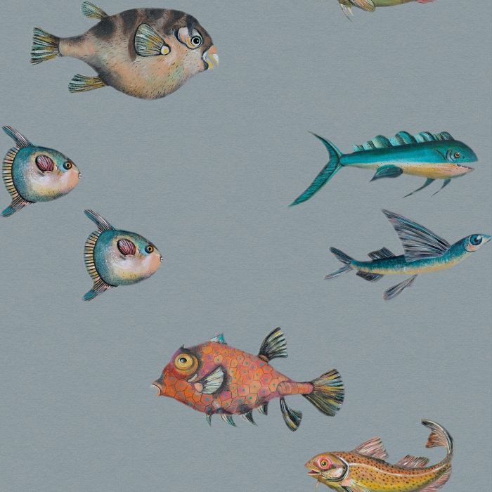 Papel Pintado Peces - HD Wallpaper 