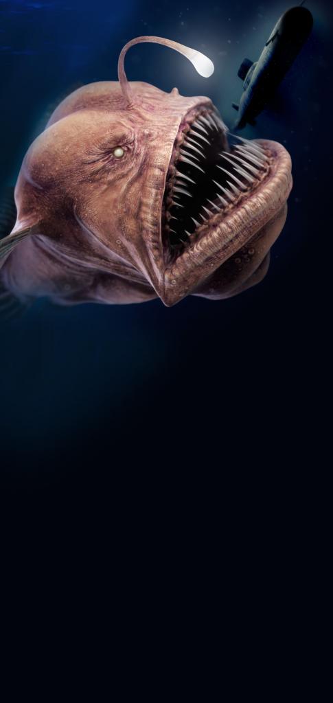 Lesothosaurus - HD Wallpaper 