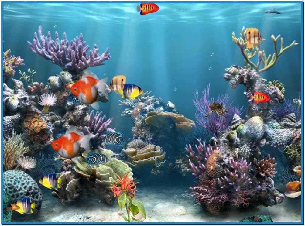 Aquarium Wallpaper Moving Windows 10 » Picserio - Coral Reef Background - HD Wallpaper 