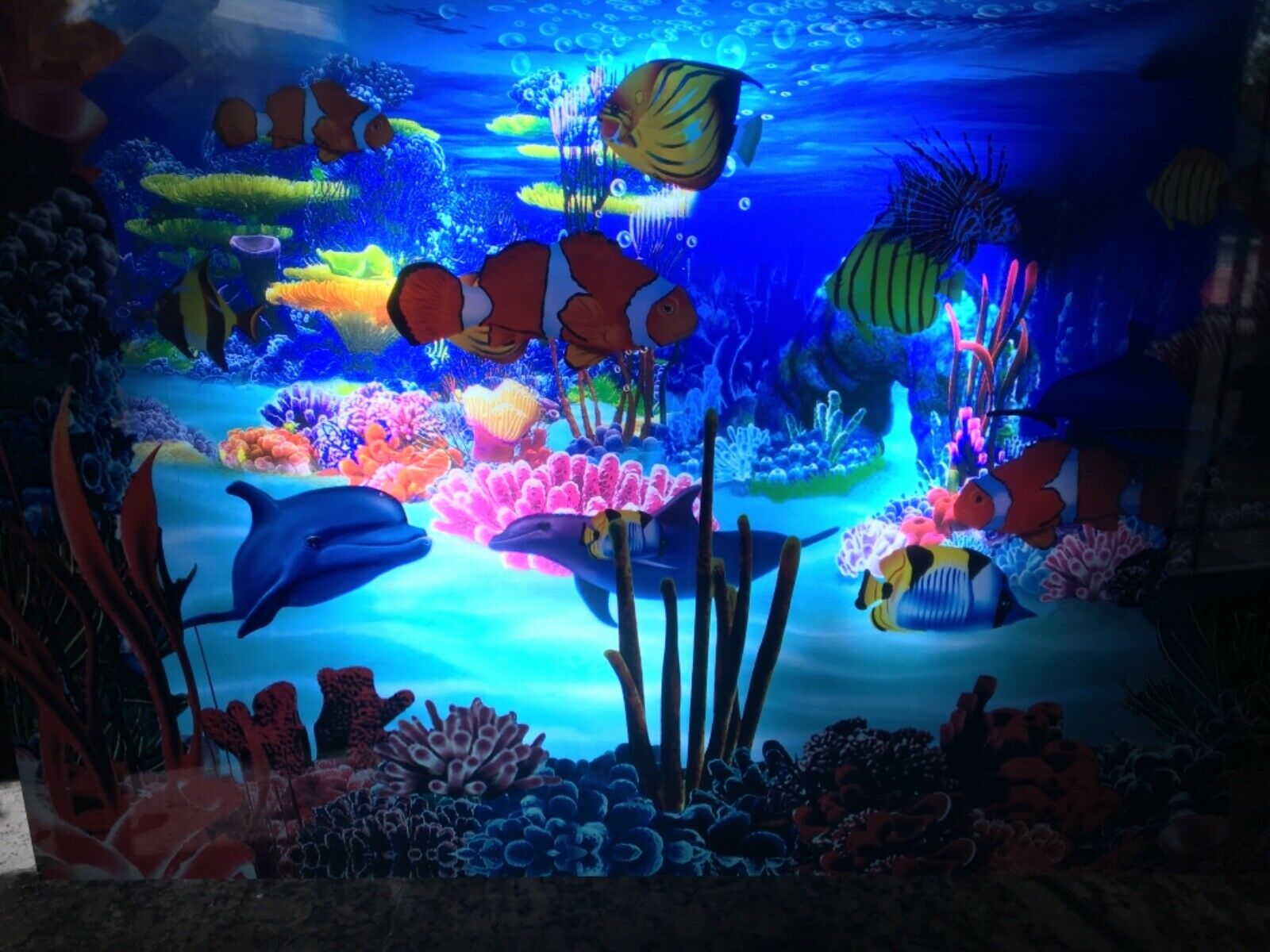 Aquarium Lighting - HD Wallpaper 