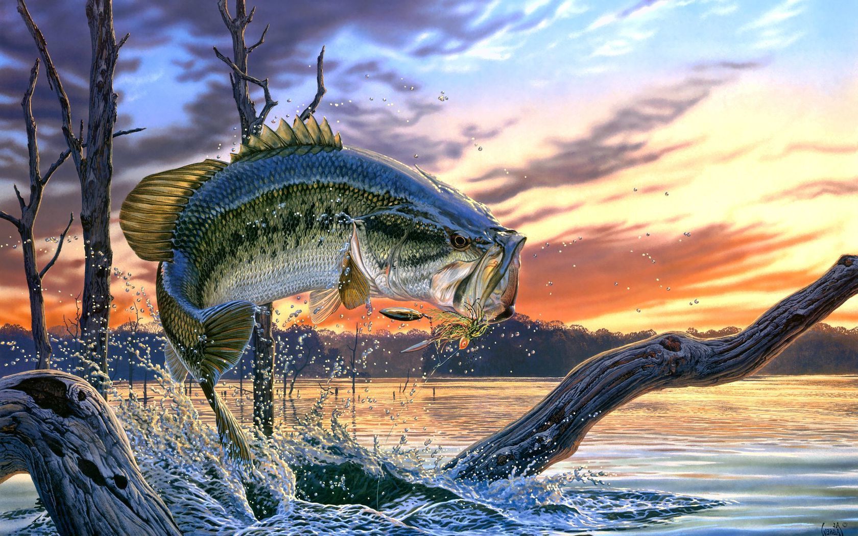 Free Fishing Wallpapers 1680x1050 Wallpaper Teahub Io