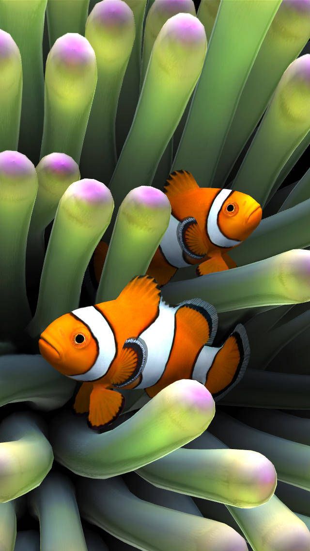 Fish Tank Live Wallpaper - HD Wallpaper 