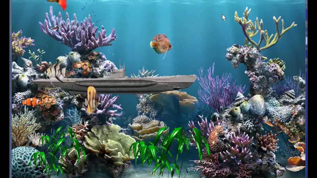 Picture Relating To Printable Fish Tank Background - Under The Sea Habitat - HD Wallpaper 