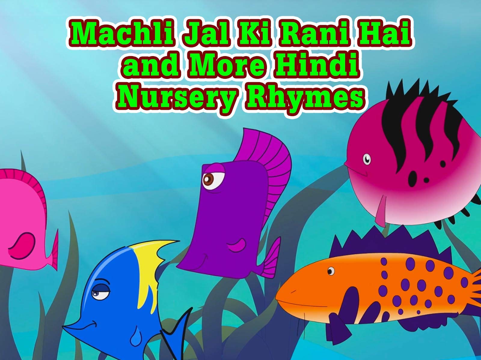 Coral Reef Fish - HD Wallpaper 