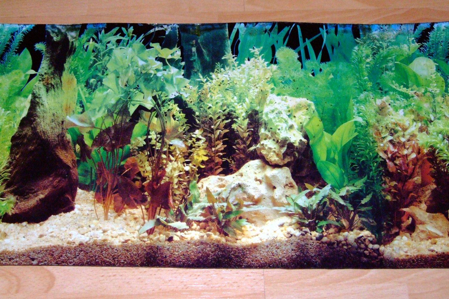 Background Aquarium For Printing - HD Wallpaper 