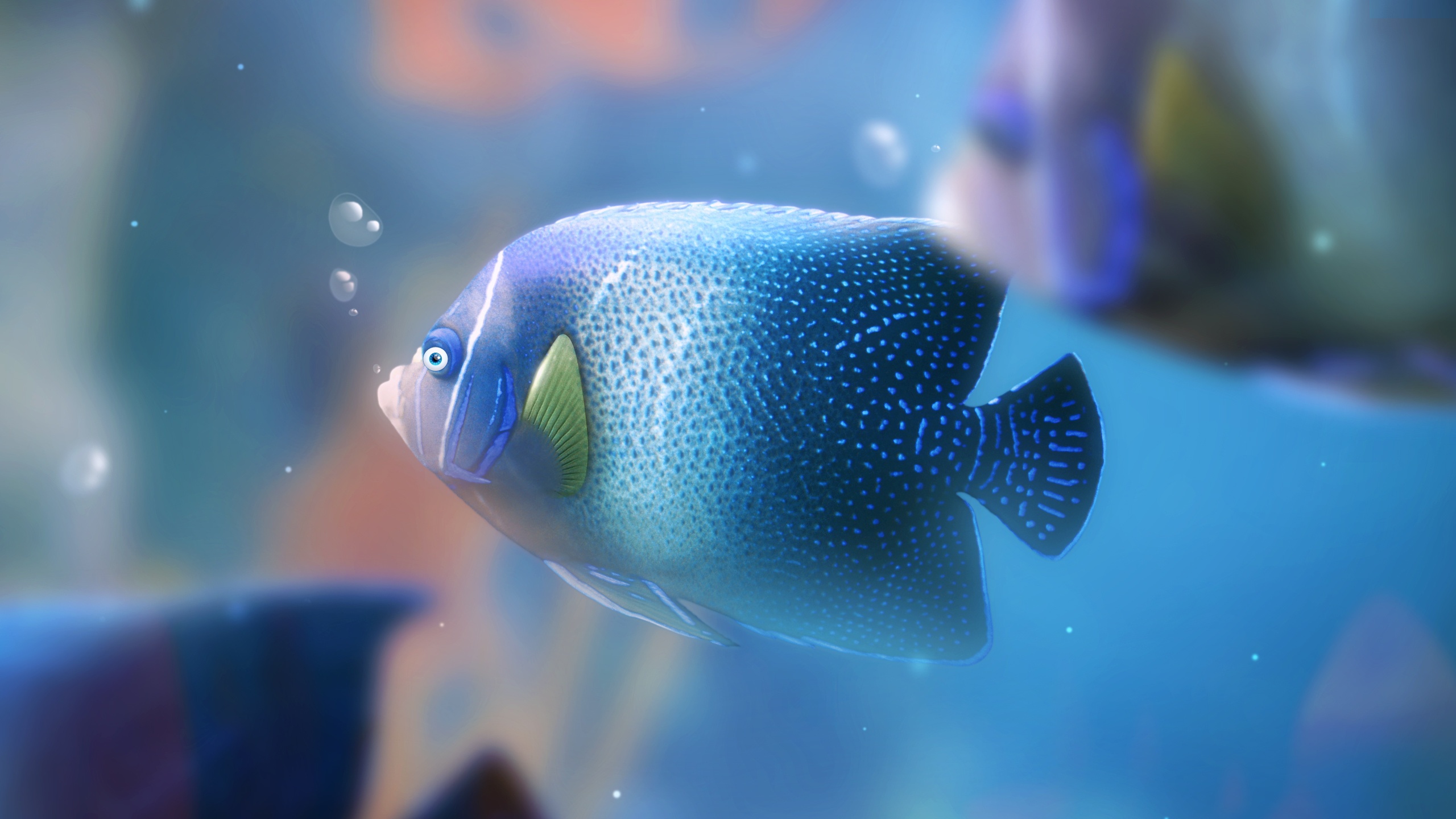 Fish - HD Wallpaper 
