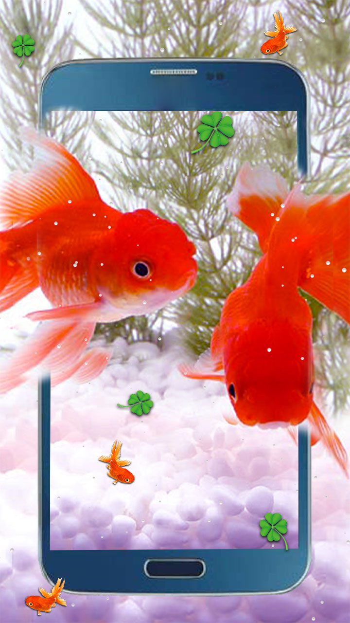 Coral Reef Fish - HD Wallpaper 