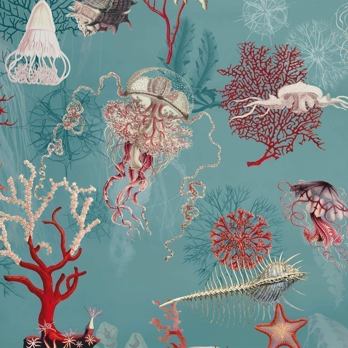 Corail Wallpaper Jean Paul Gaultier Ocean 3324 02 Jean - Wallpaper - HD Wallpaper 