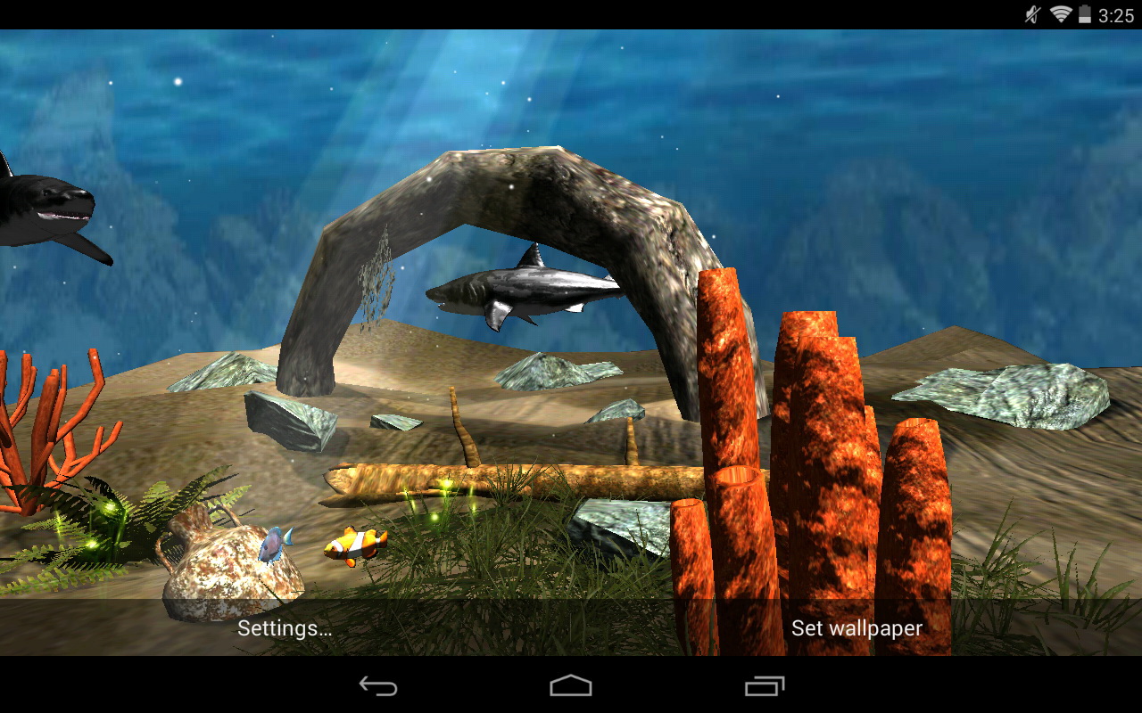 White Shark Underwater World - Best Live Wallpaper In The World - HD Wallpaper 