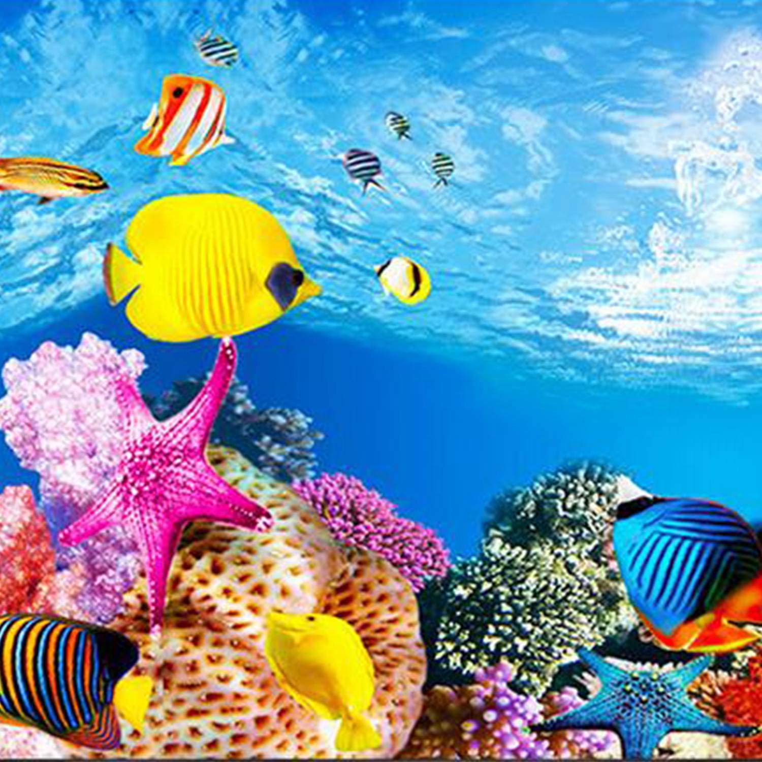 Aquariums & Accessories Cikuso Aquarium Background - Fish Aquarium Background Paper - HD Wallpaper 