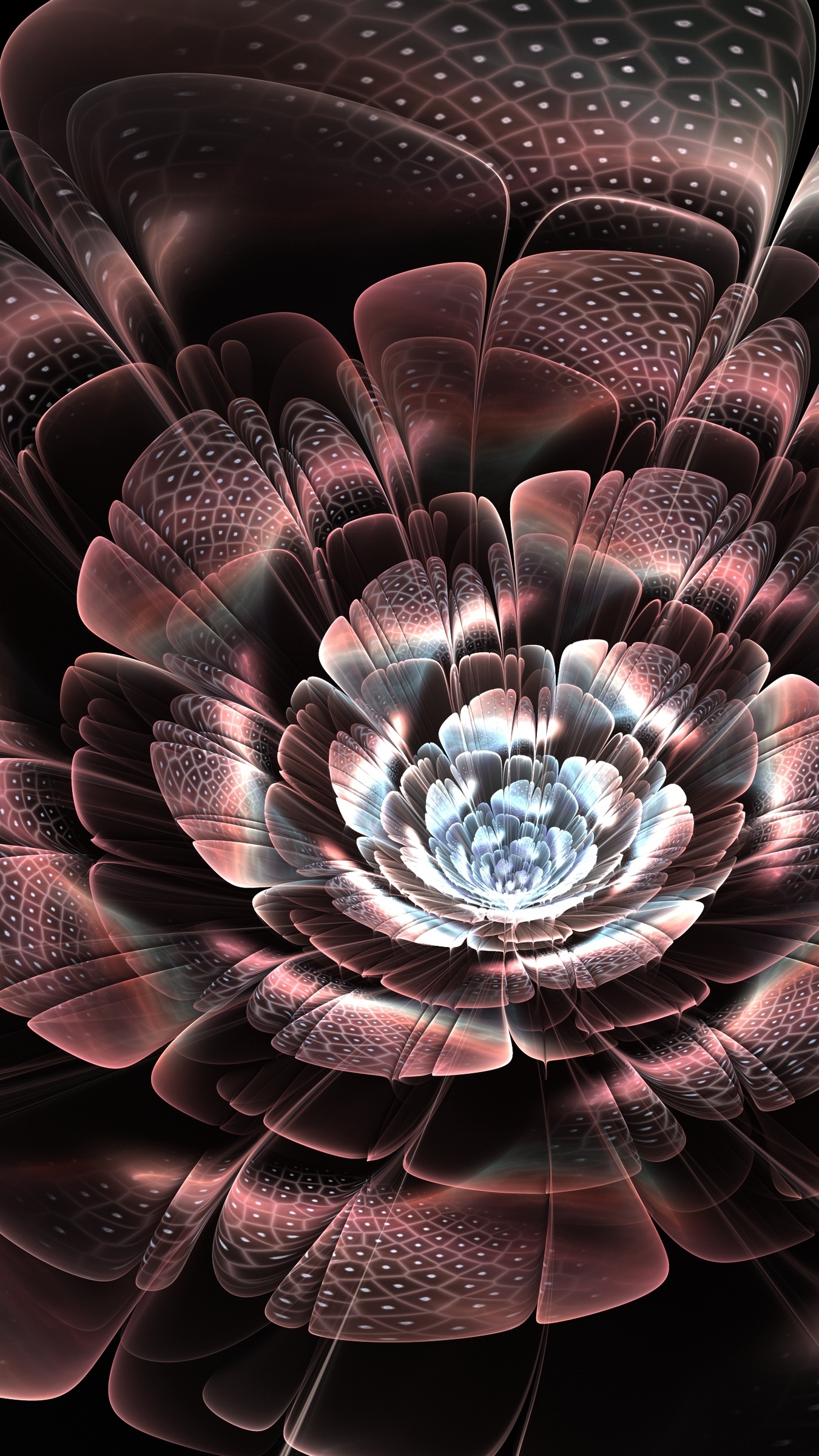Wallpaper Flower, Petals, Light, Line, Scales, Smoke - Flower Wallpaper For Vivo - HD Wallpaper 