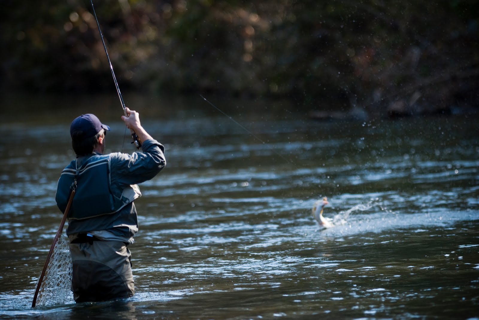 804248 Fly Fishing Wallpapers - HD Wallpaper 