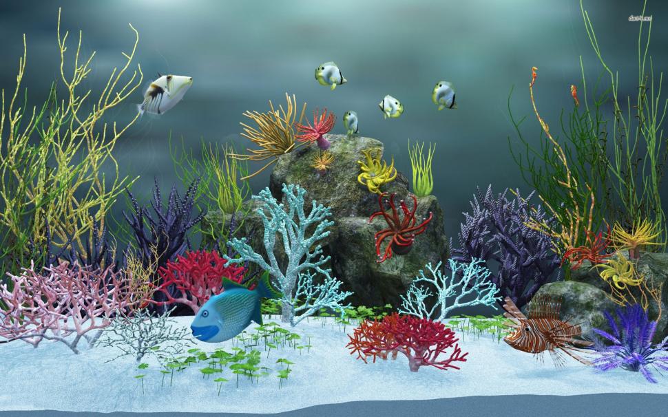 Fish Aquarium Wallpaper,fish Aquarium Hd Wallpaper,moving - Aquarium  Desktop Backgrounds - 970x606 Wallpaper 