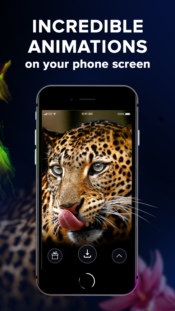 Live Wallpaper Hd Quality - HD Wallpaper 