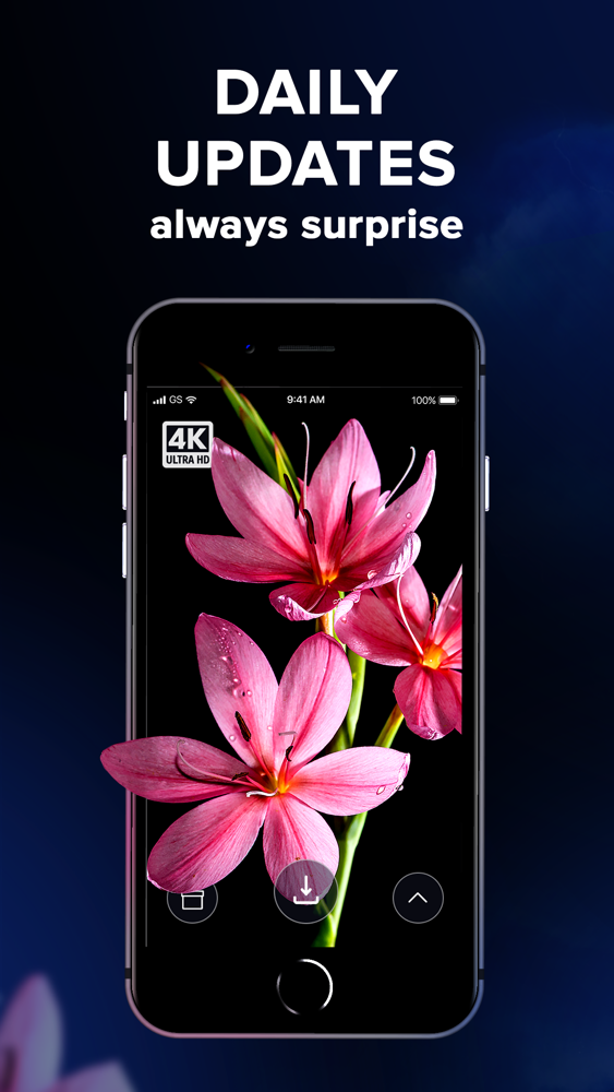 Live Wallpaper Hd Quality - Wallpaper - HD Wallpaper 