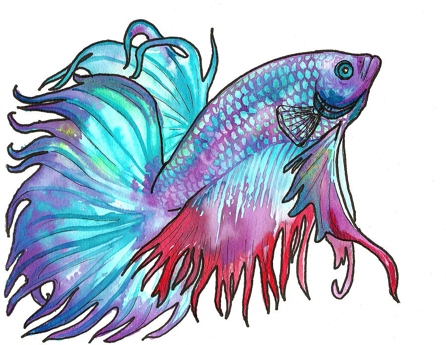 Fighter Fish Hd Wallpaper - HD Wallpaper 