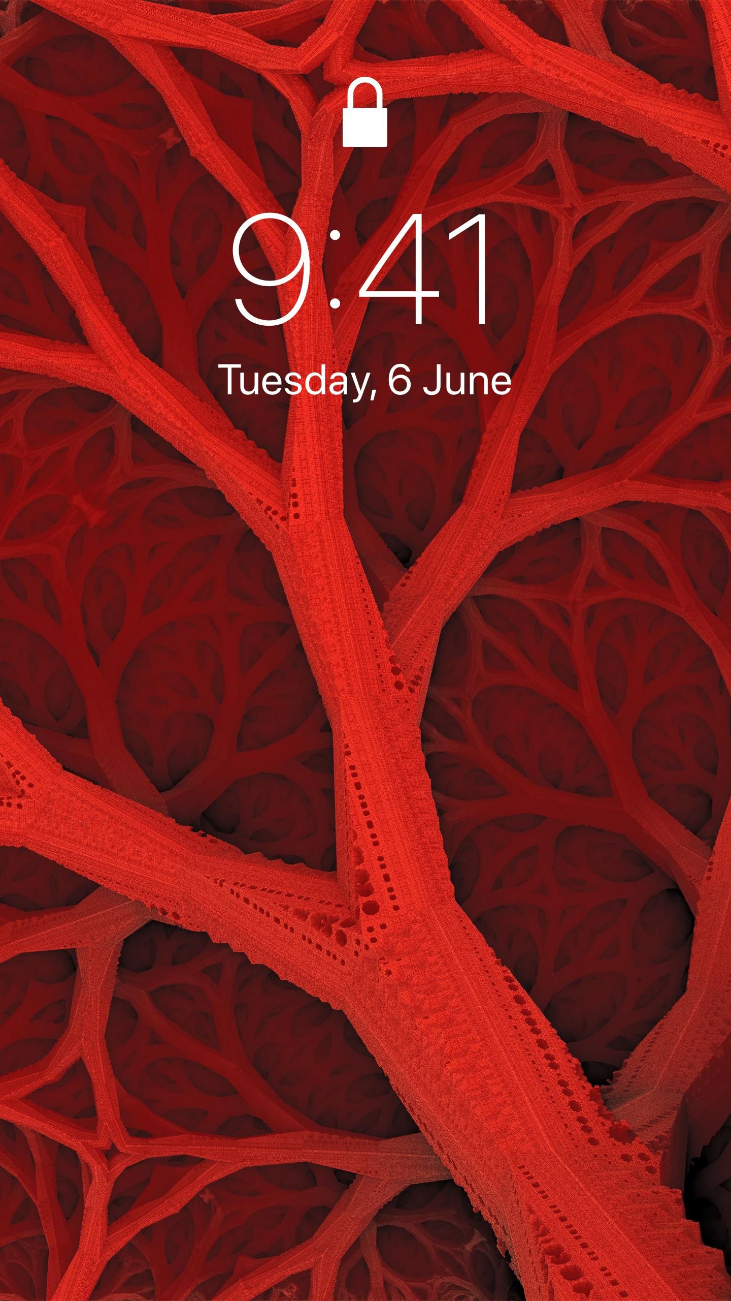 Wallpaper - HD Wallpaper 