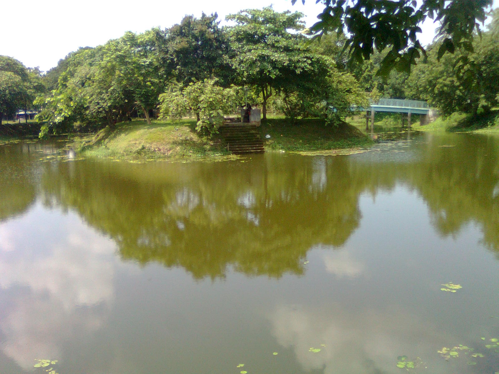 Reflection - HD Wallpaper 