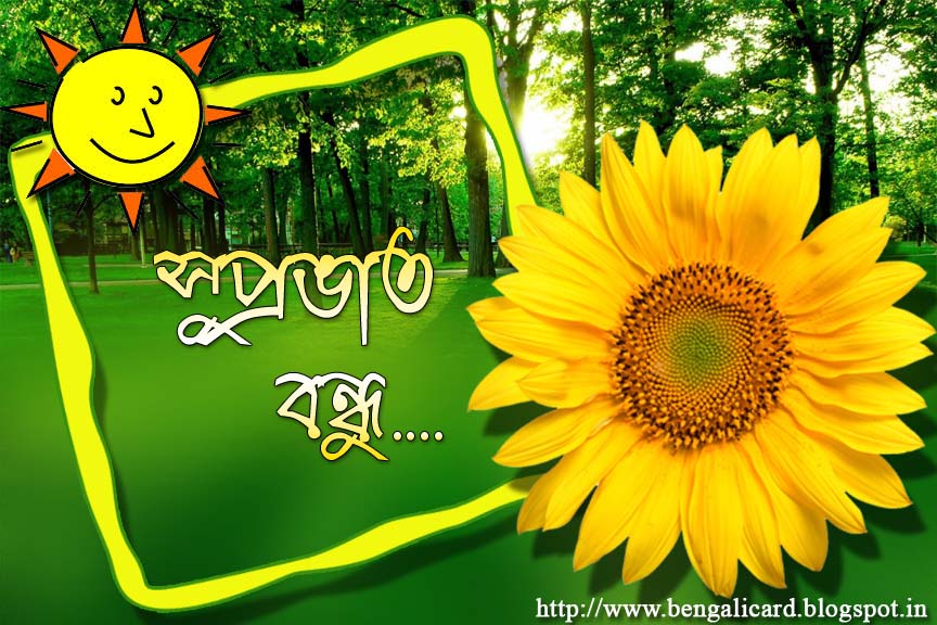 Good Morning Friend In Bengali - 864x576 Wallpaper Good Morning Friend In Bengali - 864x576 Wallpaper