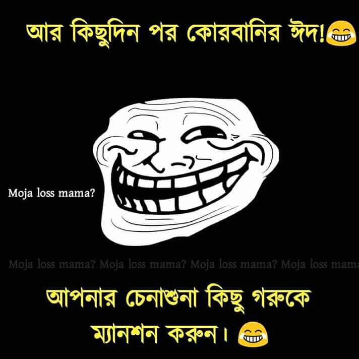 Shut Up And Dance Meme - HD Wallpaper 