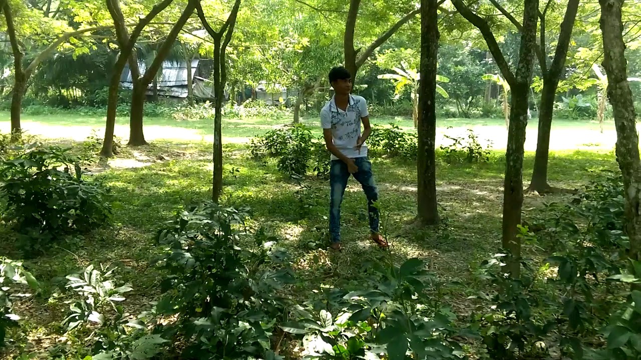 Bengali Messages Funny Free Greetings Cards Images - Grove - HD Wallpaper 