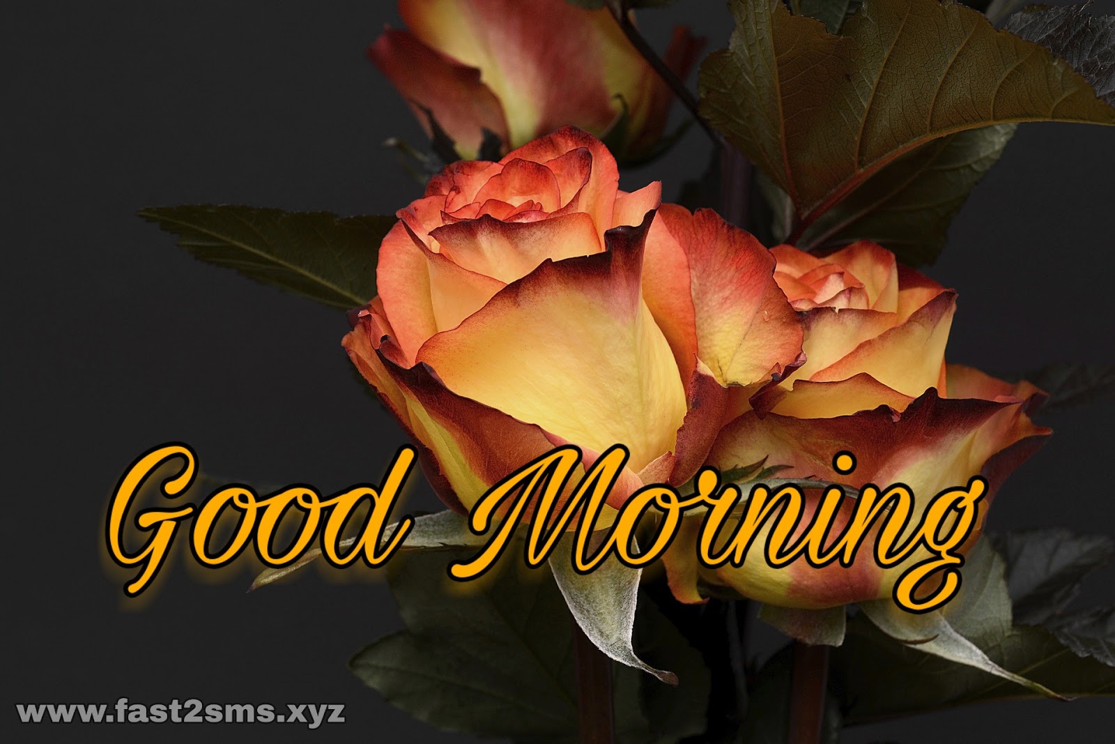 Good Morning Hd Images Download - Bengali Free Download Bangla Good Morning - HD Wallpaper 