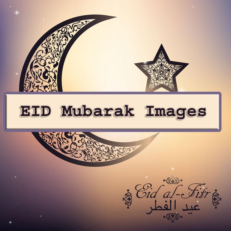 Eid Mubarak Wallpaper Pictures And Cliparts Download - English Eid Ul Adha Mubarak - HD Wallpaper 