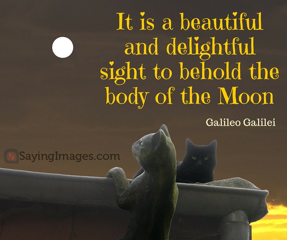 Moon Love Quote - HD Wallpaper 