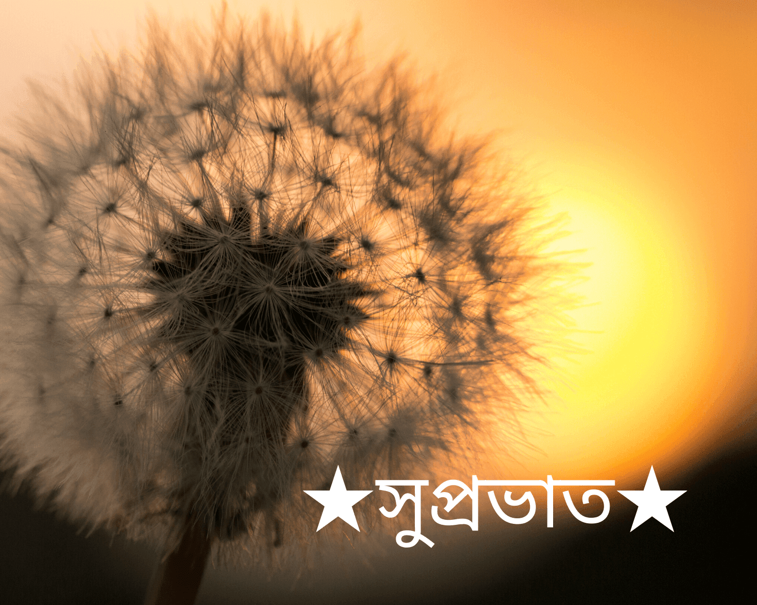 Bengali Good Morning Images For Whatsapp/facebook - World Mission Sunday 2019 - HD Wallpaper 